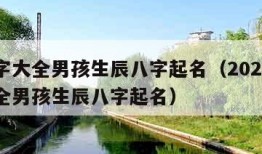 取名字大全男孩生辰八字起名（2021取名字大全男孩生辰八字起名）