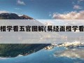 易经面相学看五官图解(易经面相学看五官视频)