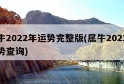 属牛2022年运势完整版(属牛2022年运势查询)