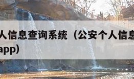 公安个人信息查询系统（公安个人信息查询系统官网app）