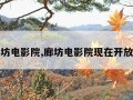 廊坊电影院,廊坊电影院现在开放吗