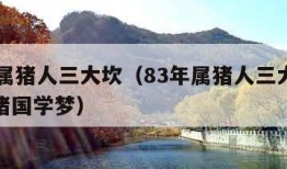 83年属猪人三大坎（83年属猪人三大坎婚姻属猪国学梦）