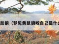 梦见黄鼠狼（梦见黄鼠狼咬自己是什么预兆）