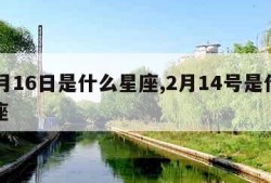 12月16日是什么星座,2月14号是什么星座