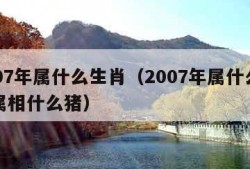 2007年属什么生肖（2007年属什么生肖属相什么猪）