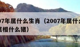 2007年属什么生肖（2007年属什么生肖属相什么猪）