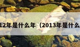 2012年是什么年（2013年是什么年）