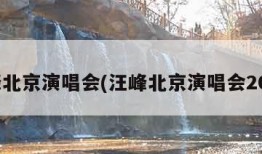 汪峰北京演唱会(汪峰北京演唱会2019)