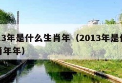 2013年是什么生肖年（2013年是什么生肖年年）