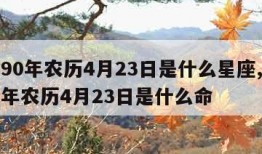 1990年农历4月23日是什么星座,1990年农历4月23日是什么命