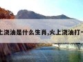 火上浇油是什么生肖,火上浇油打一字