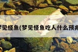 梦见怪鱼(梦见怪鱼吃人什么预兆)