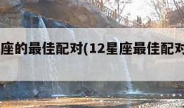 12星座的最佳配对(12星座最佳配对第一名)