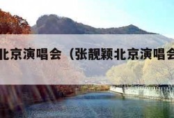 张靓颖北京演唱会（张靓颖北京演唱会座位图）