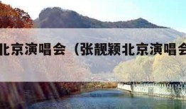 张靓颖北京演唱会（张靓颖北京演唱会座位图）