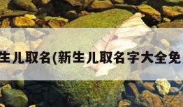 新生儿取名(新生儿取名字大全免费)