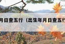 出生年月日查五行（出生年月日查五行计算器）