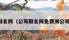 公司取名网（公司取名网免费测公司名称）