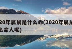 2020年属鼠是什么命(2020年属鼠是什么命人呢)