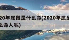 2020年属鼠是什么命(2020年属鼠是什么命人呢)