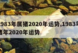 1983年属猪2020年运势,1983年猪年2020年运势