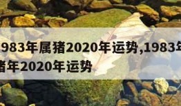 1983年属猪2020年运势,1983年猪年2020年运势