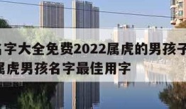 取名字大全免费2022属虎的男孩子,2022属虎男孩名字最佳用字