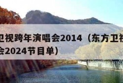 东方卫视跨年演唱会2014（东方卫视跨年演唱会2024节目单）