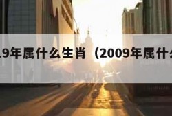 2019年属什么生肖（2009年属什么生肖）