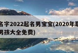 起名字2022起名男宝宝(2020年取名字男孩大全免费)