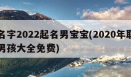 起名字2022起名男宝宝(2020年取名字男孩大全免费)