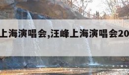 汪峰上海演唱会,汪峰上海演唱会2023上座率