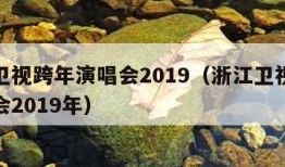 浙江卫视跨年演唱会2019（浙江卫视跨年演唱会2019年）