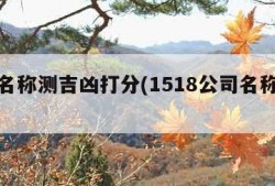 公司名称测吉凶打分(1518公司名称评分)