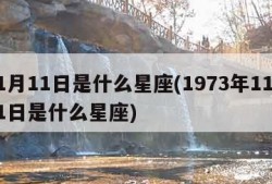 11月11日是什么星座(1973年11月11日是什么星座)