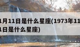 11月11日是什么星座(1973年11月11日是什么星座)