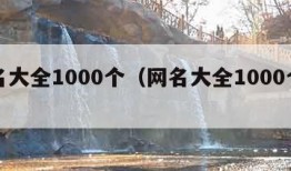 网名大全1000个（网名大全1000个农民）