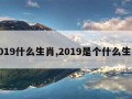 2019什么生肖,2019是个什么生肖