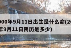 2000年9月11日出生是什么命(2000年9月11日阴历是多少)