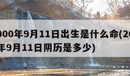 2000年9月11日出生是什么命(2000年9月11日阴历是多少)