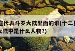 12星座代表斗罗大陆里面的谁(十二星座在斗罗大陆中是什么人物?)