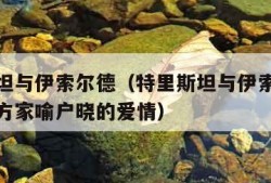 特里斯坦与伊索尔德（特里斯坦与伊索尔德是一部西方家喻户晓的爱情）