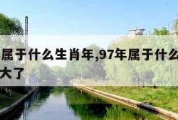 97年属于什么生肖年,97年属于什么生肖年多大了