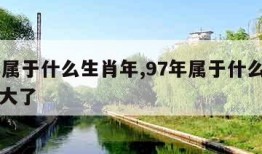 97年属于什么生肖年,97年属于什么生肖年多大了