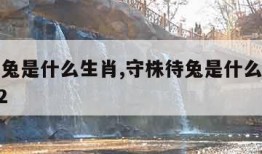 守株待兔是什么生肖,守株待兔是什么生肖正准2022