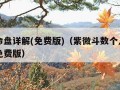 个人命盘详解(免费版)（紫微斗数个人命盘详解免费版）