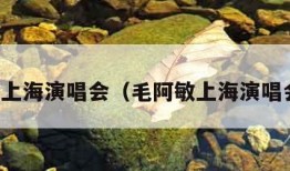 毛阿敏上海演唱会（毛阿敏上海演唱会来宾）