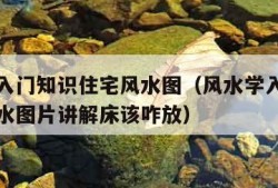 风水学入门知识住宅风水图（风水学入门知识住宅风水图片讲解床该咋放）