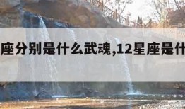 12星座分别是什么武魂,12星座是什么武魂?