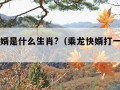 乘龙快婿是什么生肖?（乘龙快婿打一个生肖）